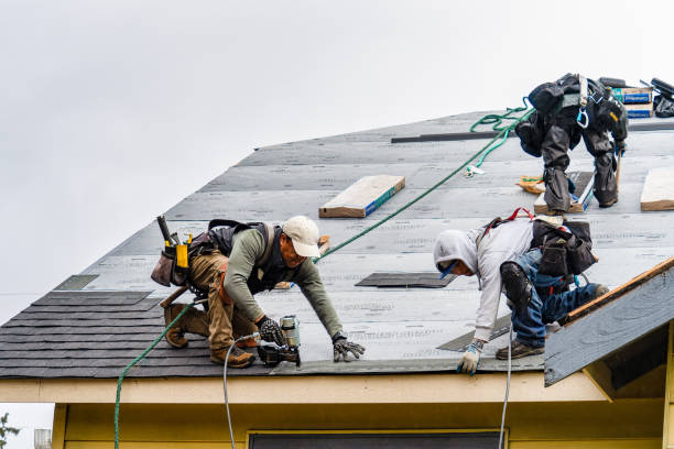 Professional Flat Roof Repair technician working in Trinity, FL