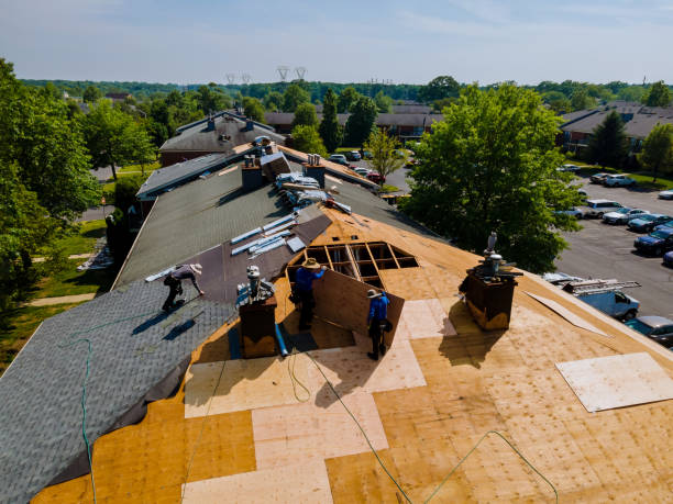 24/7 Emergency Flat Roof Repair experts in Trinity, FL